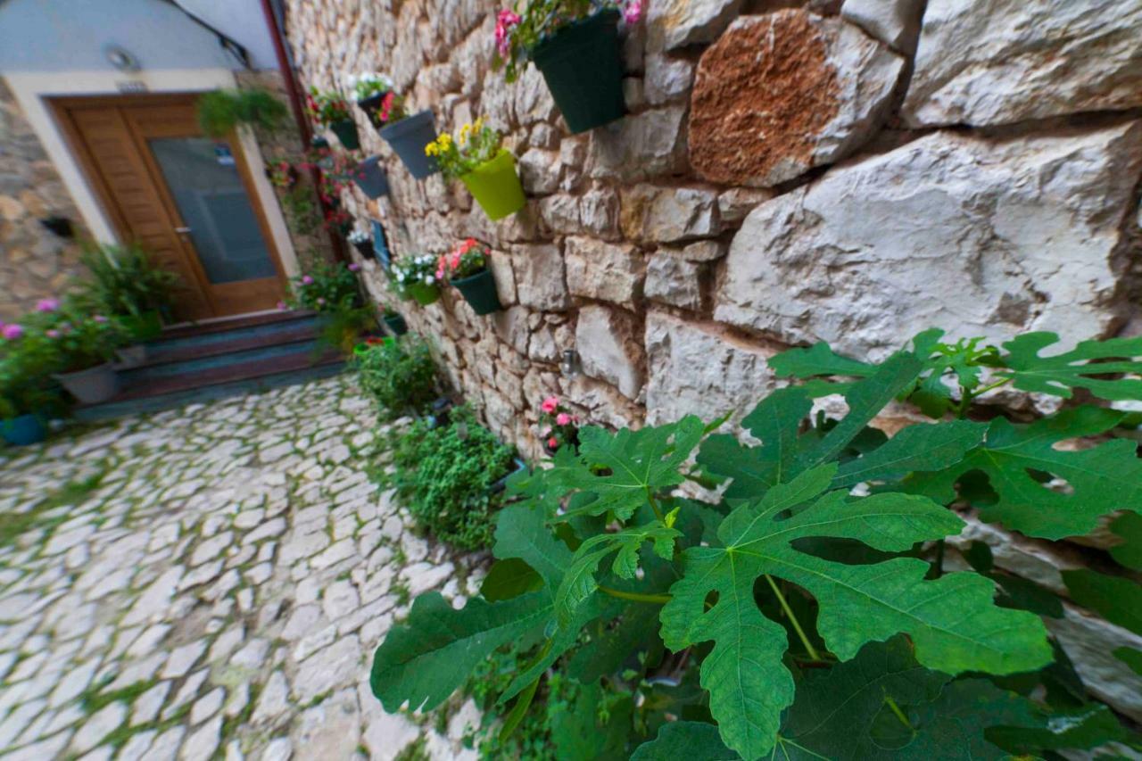 Hostel Mare Σίμπενικ Εξωτερικό φωτογραφία